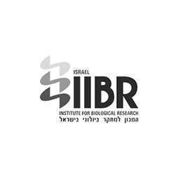 לוגו ibr
